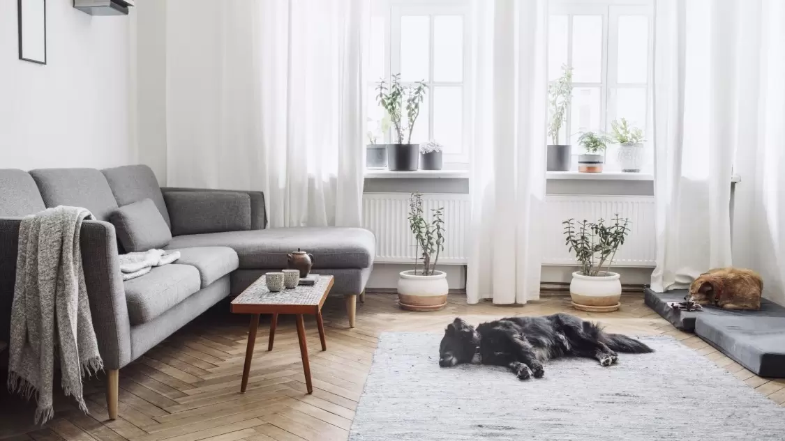 11 Tips Scandinavian Interior untuk Hunian Anda